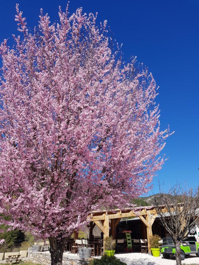 Camping Calme Et Nature كاستيلان المظهر الخارجي الصورة